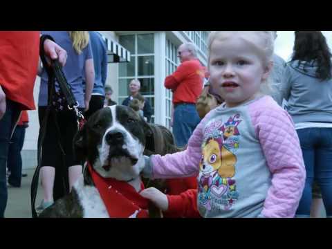 Dog Star Rescue PetSmart event video thumbnail